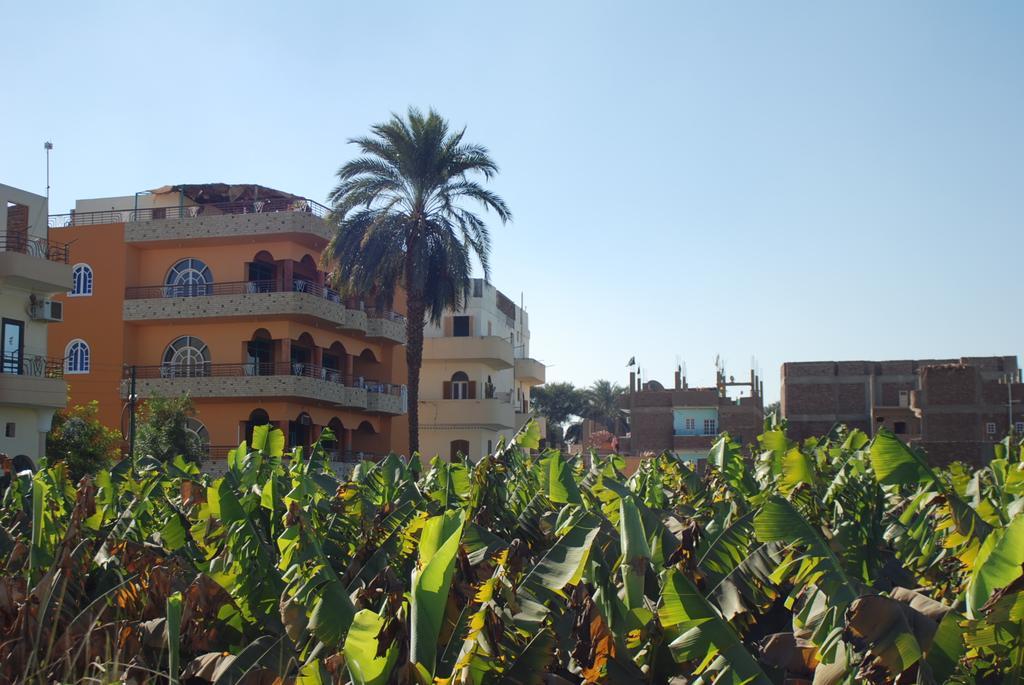 Al Gezera Apartments Luxor Cameră foto